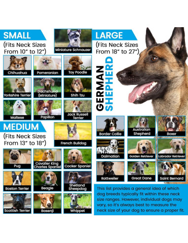 Correa de Reemplazo Nylon E-Collar Gracie Grande 45-68 cm