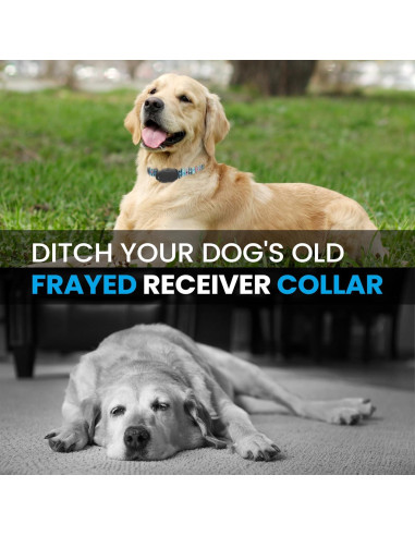 Correa de Reemplazo Nylon E-Collar Gracie Grande 45-68 cm