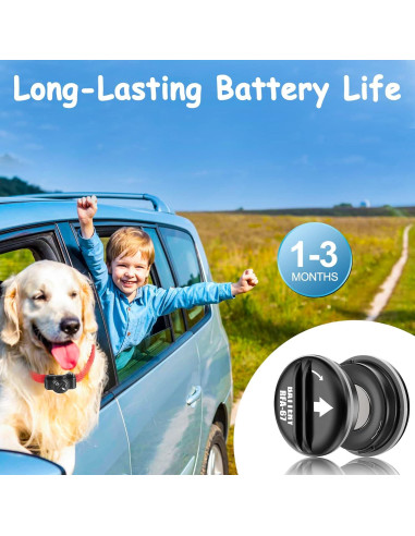 Paquete de 10 Baterías RFA-67 6V KGC para Collares PetSafe