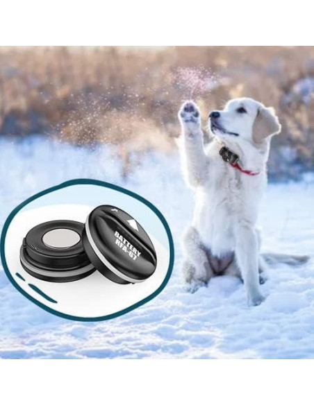 Paquete de 10 Baterías RFA-67 6V KGC para Collares PetSafe