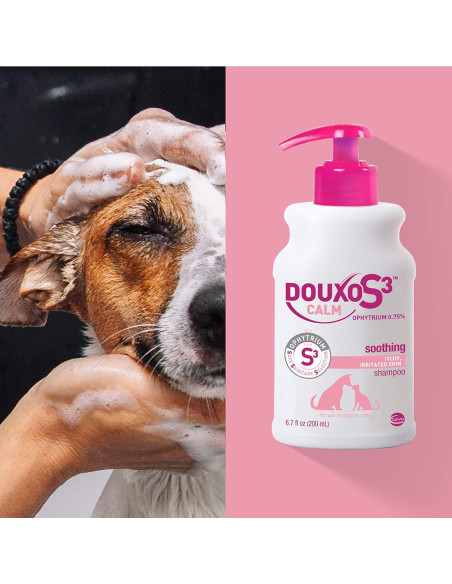 Champú Douxo S3 Calm 200 mL para Perros y Gatos