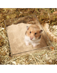 Arena de baño BUCATSTATE para hámster 1.5kg sin polvo 2