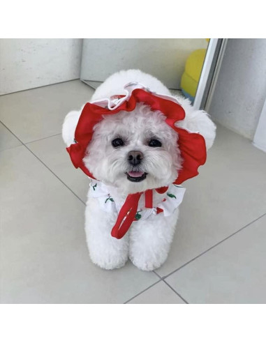 Traje de baño para perros IMDOUBLEDOU XX-Grande Cereza