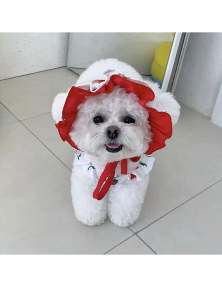 Traje de baño para perros IMDOUBLEDOU XX-Grande Cereza