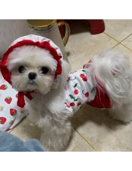 Traje de baño para perros IMDOUBLEDOU XX-Grande Cereza