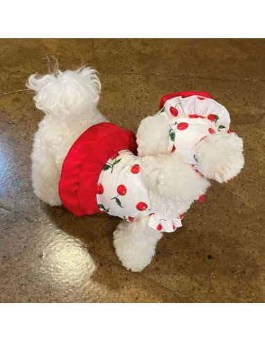 Traje de baño para perros IMDOUBLEDOU XX-Grande Cereza