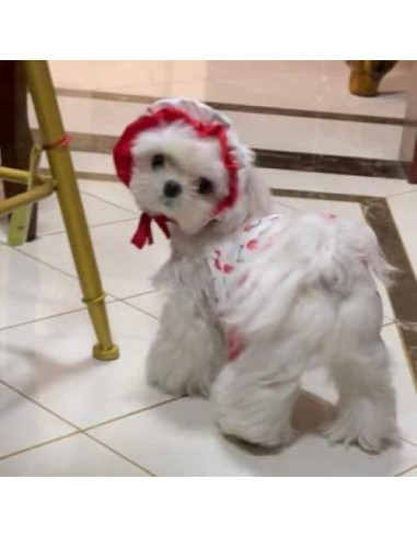 Traje de baño para perros IMDOUBLEDOU XX-Grande Cereza