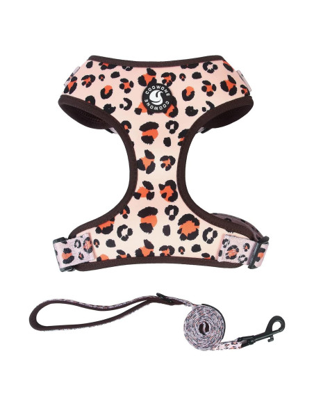Conjunto Arnés y Correa para Perros COOWONE Talla L