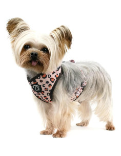 Conjunto Arnés y Correa para Perros COOWONE Talla L 2