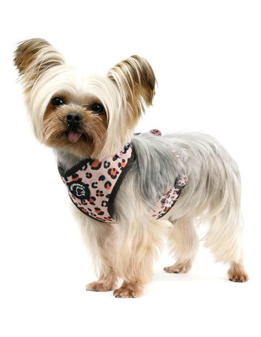 Conjunto Arnés y Correa para Perros COOWONE Talla L