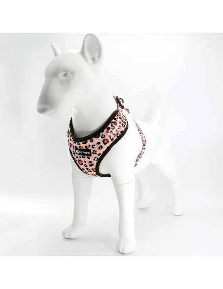 Conjunto Arnés y Correa para Perros COOWONE Talla L