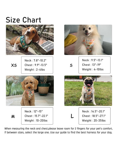 Conjunto Arnés y Correa para Perros COOWONE Talla L