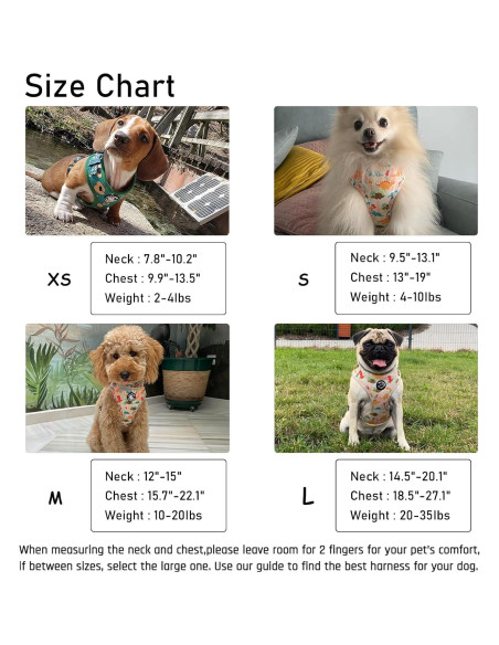 Conjunto Arnés y Correa para Perros COOWONE Talla L