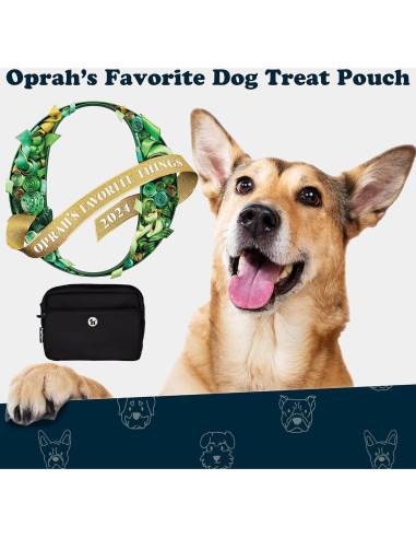 Bolsa de Paseo para Perros Puppington 3 en 1 Negro Onyx