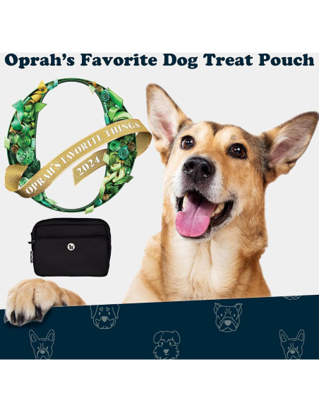 Bolsa de Paseo para Perros Puppington 3 en 1 Negro Onyx