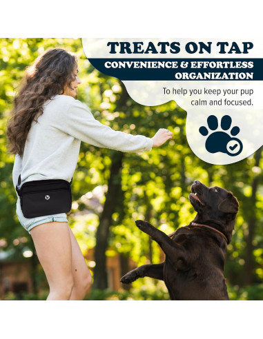 Bolsa de Paseo para Perros Puppington 3 en 1 Negro Onyx