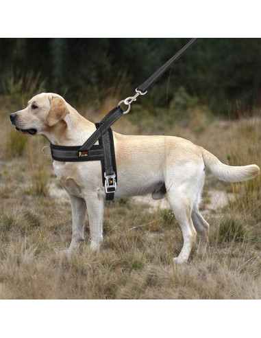 Arnés para Perros Plutus Pet Ajustable Malla Transpirable M Negro