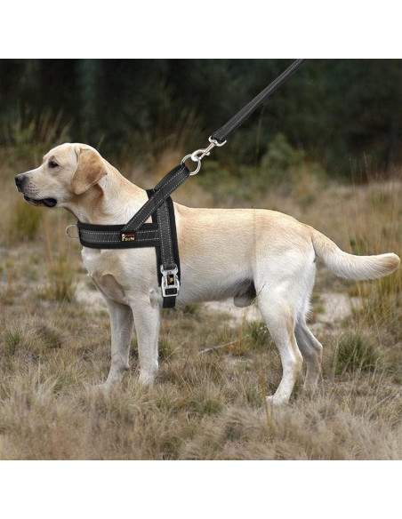 Arnés para Perros Plutus Pet Ajustable Malla Transpirable M Negro