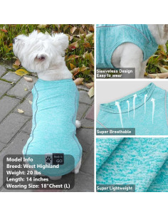 Camisa para Perros KYEESE Azul Lago M Transpirable Reflectante 2