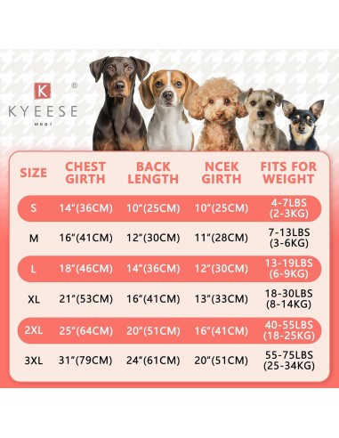 Camisa para Perros KYEESE Azul Lago M Transpirable Reflectante