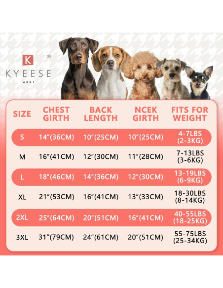 Camisa para Perros KYEESE Azul Lago M Transpirable Reflectante