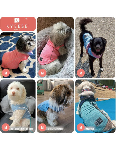 Camisa para Perros KYEESE Azul Lago M Transpirable Reflectante