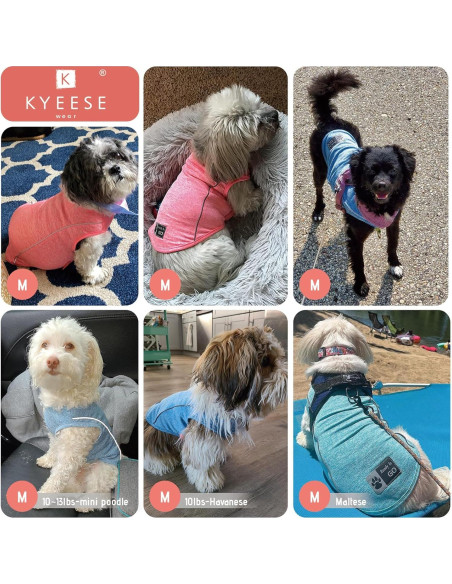 Camisa para Perros KYEESE Azul Lago M Transpirable Reflectante