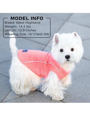 Camisa para Perros KYEESE Azul Lago M Transpirable Reflectante