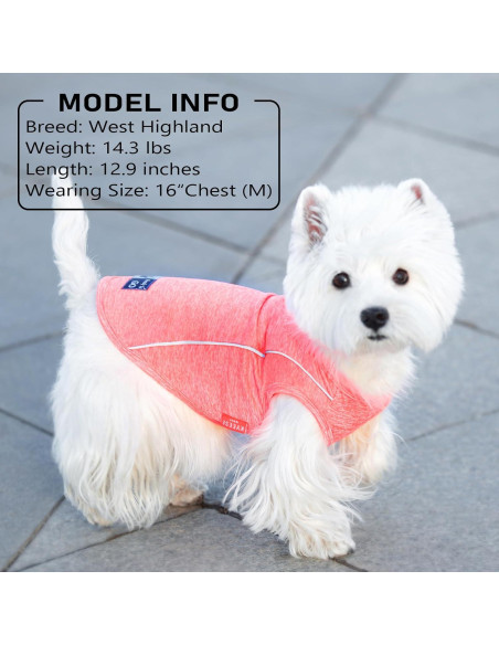 Camisa para Perros KYEESE Azul Lago M Transpirable Reflectante