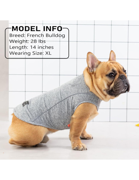 Camisa para Perros KYEESE Azul Lago M Transpirable Reflectante