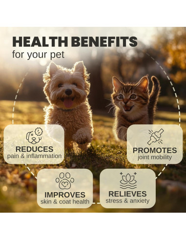 Aceite de Cáñamo para Perros y Gatos Billion Pets 28g