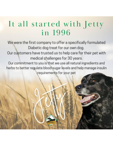 Galletas para Perros TINY Diabéticas 225 g 100% Naturales