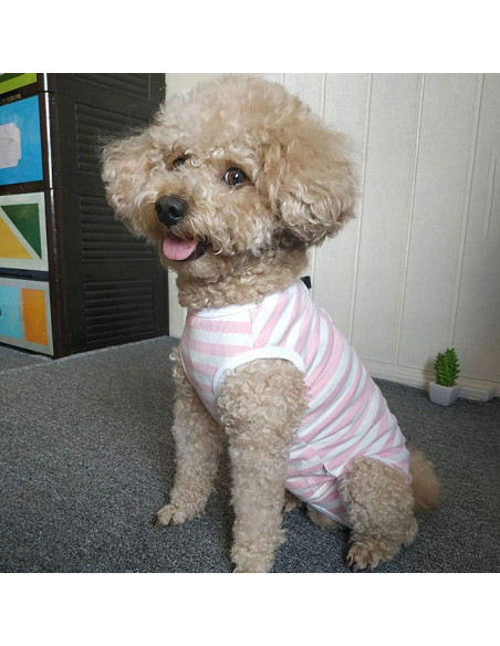 Camisa de Recuperación para Perros Kukaster XL Rayas Rosa