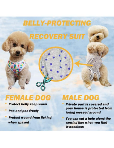 Camisa de Recuperación para Perros Kukaster XL Rayas Rosa