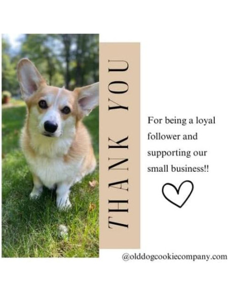 Galletas para Perros TINY Diabéticas 225 g 100% Naturales