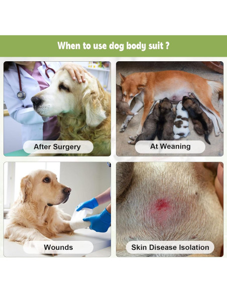 Traje de Recuperación para Perros QUEARN S 2 Piezas Algodón