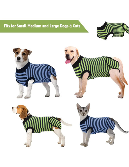 Traje de Recuperación para Perros QUEARN S 2 Piezas Algodón