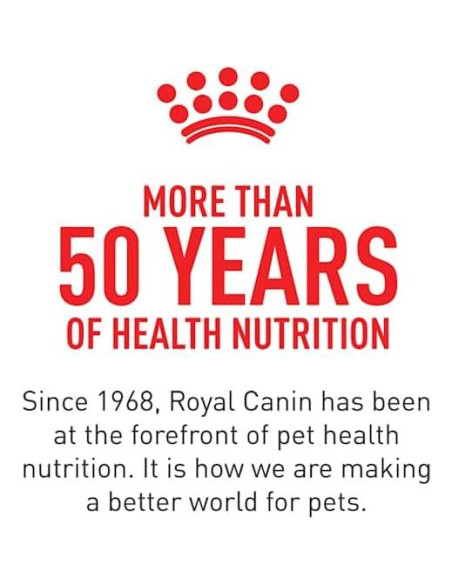 Royal Canin Cuidado Digestivo Lata 12 x 382.7 g para Perros