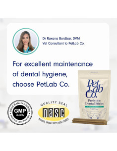 Palitos Dentales para Perros PetLab Co. - 6 Unidades 2