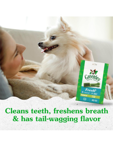 Golosinas Dentales Greenies para Perros Menta 340 g