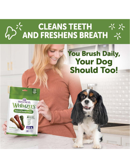 WHIMZEES Brushzees Golosinas Dentales para Perros 48 Unidades