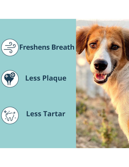 Polvo Dental NOVEHA para Mascotas 100g - Cuidado Oral Veterinario