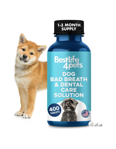 Suplemento Natural para Mal Aliento Canino BestLife4Pets 400 Pastillas