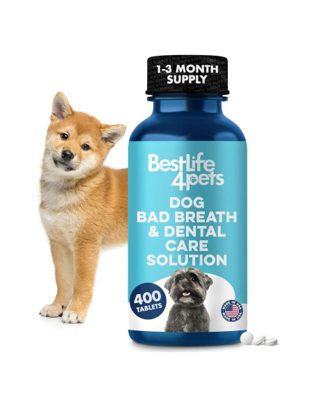 Suplemento Natural para Mal Aliento Canino BestLife4Pets 400 Pastillas