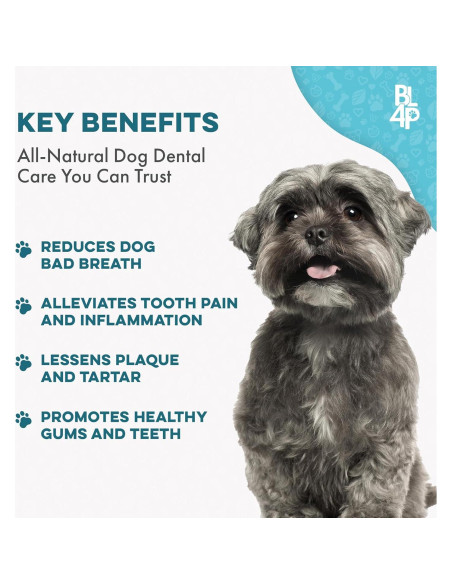 Suplemento Natural para Mal Aliento Canino BestLife4Pets 400 Pastillas