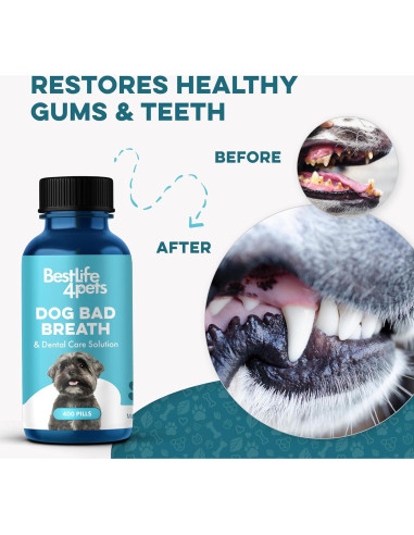 Suplemento Natural para Mal Aliento Canino BestLife4Pets 400 Pastillas