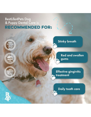 Suplemento Natural para Mal Aliento Canino BestLife4Pets 400 Pastillas