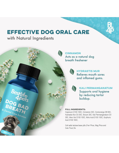 Suplemento Natural para Mal Aliento Canino BestLife4Pets 400 Pastillas