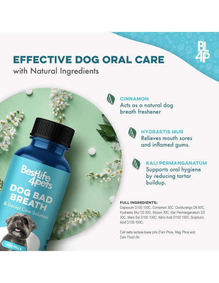 Suplemento Natural para Mal Aliento Canino BestLife4Pets 400 Pastillas