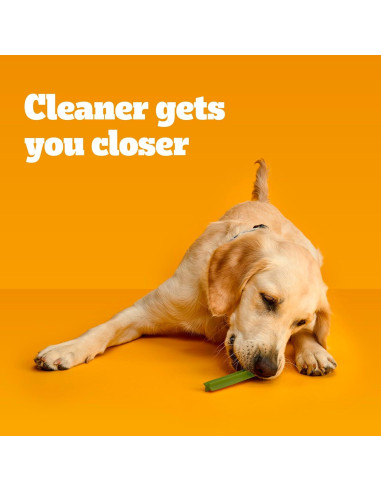 Golosinas Dentales Pedigree Dentastix para Perros Grandes 1.87 kg